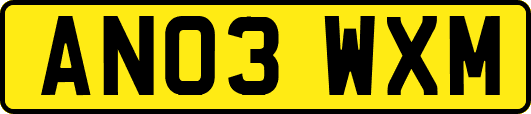 AN03WXM