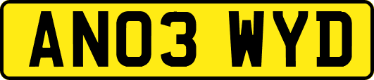 AN03WYD