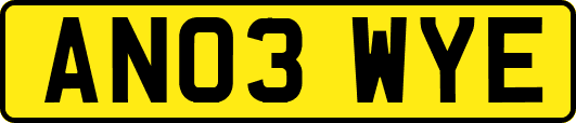 AN03WYE