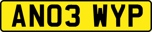AN03WYP