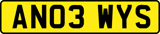 AN03WYS