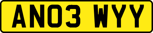 AN03WYY
