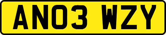 AN03WZY