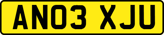 AN03XJU
