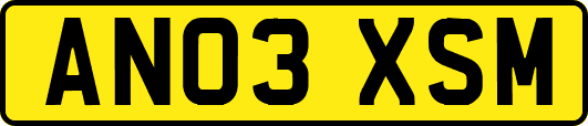 AN03XSM