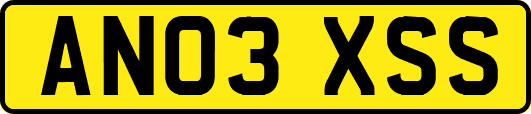 AN03XSS