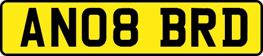 AN08BRD