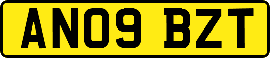 AN09BZT