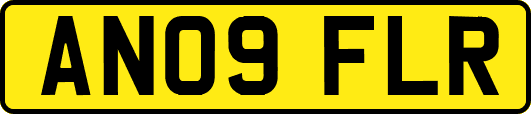 AN09FLR