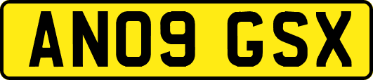 AN09GSX