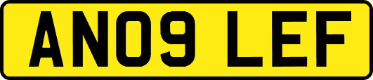 AN09LEF