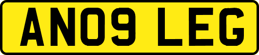AN09LEG