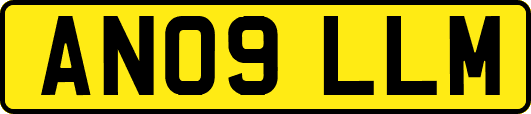 AN09LLM