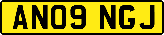 AN09NGJ