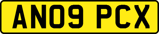 AN09PCX