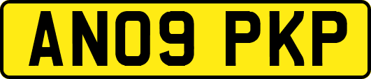 AN09PKP