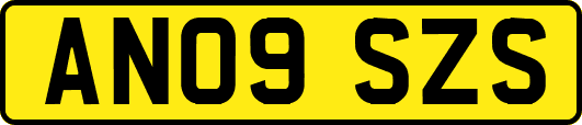 AN09SZS