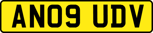 AN09UDV