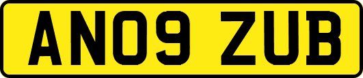 AN09ZUB