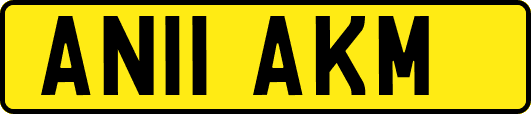 AN11AKM