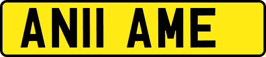 AN11AME