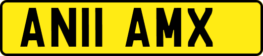 AN11AMX