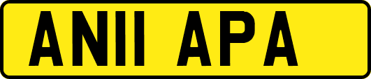 AN11APA
