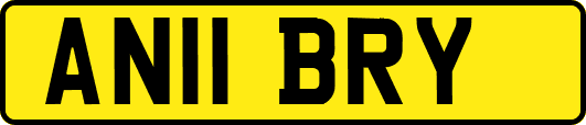 AN11BRY