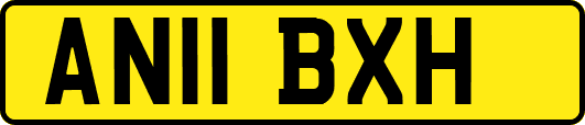 AN11BXH