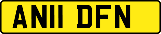 AN11DFN