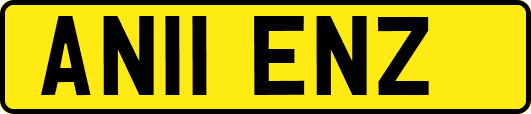 AN11ENZ