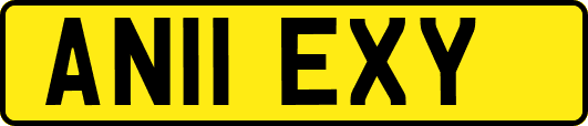 AN11EXY