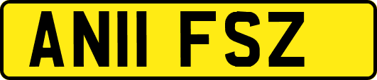 AN11FSZ