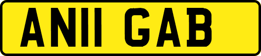 AN11GAB