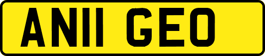 AN11GEO