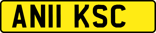 AN11KSC