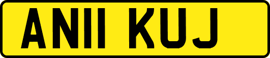 AN11KUJ