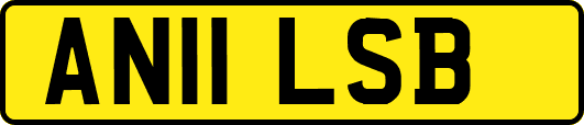 AN11LSB