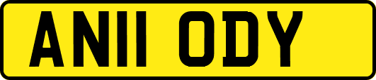 AN11ODY
