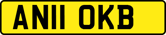AN11OKB