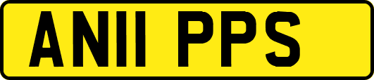 AN11PPS