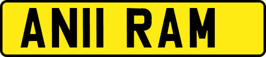 AN11RAM