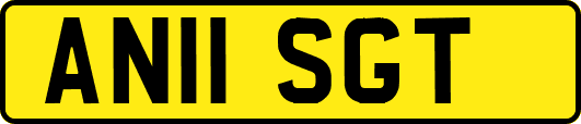 AN11SGT