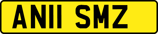 AN11SMZ