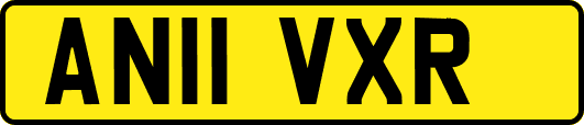 AN11VXR
