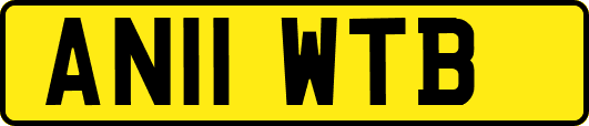 AN11WTB