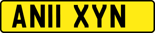 AN11XYN