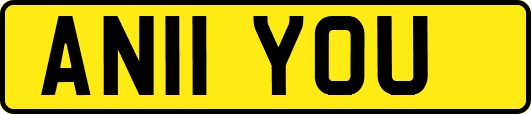 AN11YOU