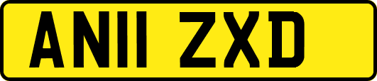 AN11ZXD