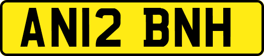 AN12BNH